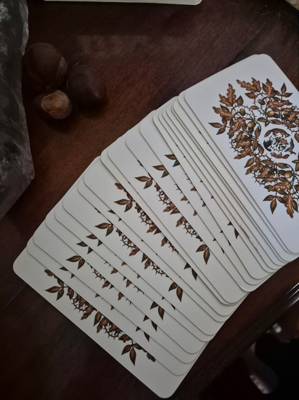 Path of the Tarot: A Reflective Journey&nbsp;Begins